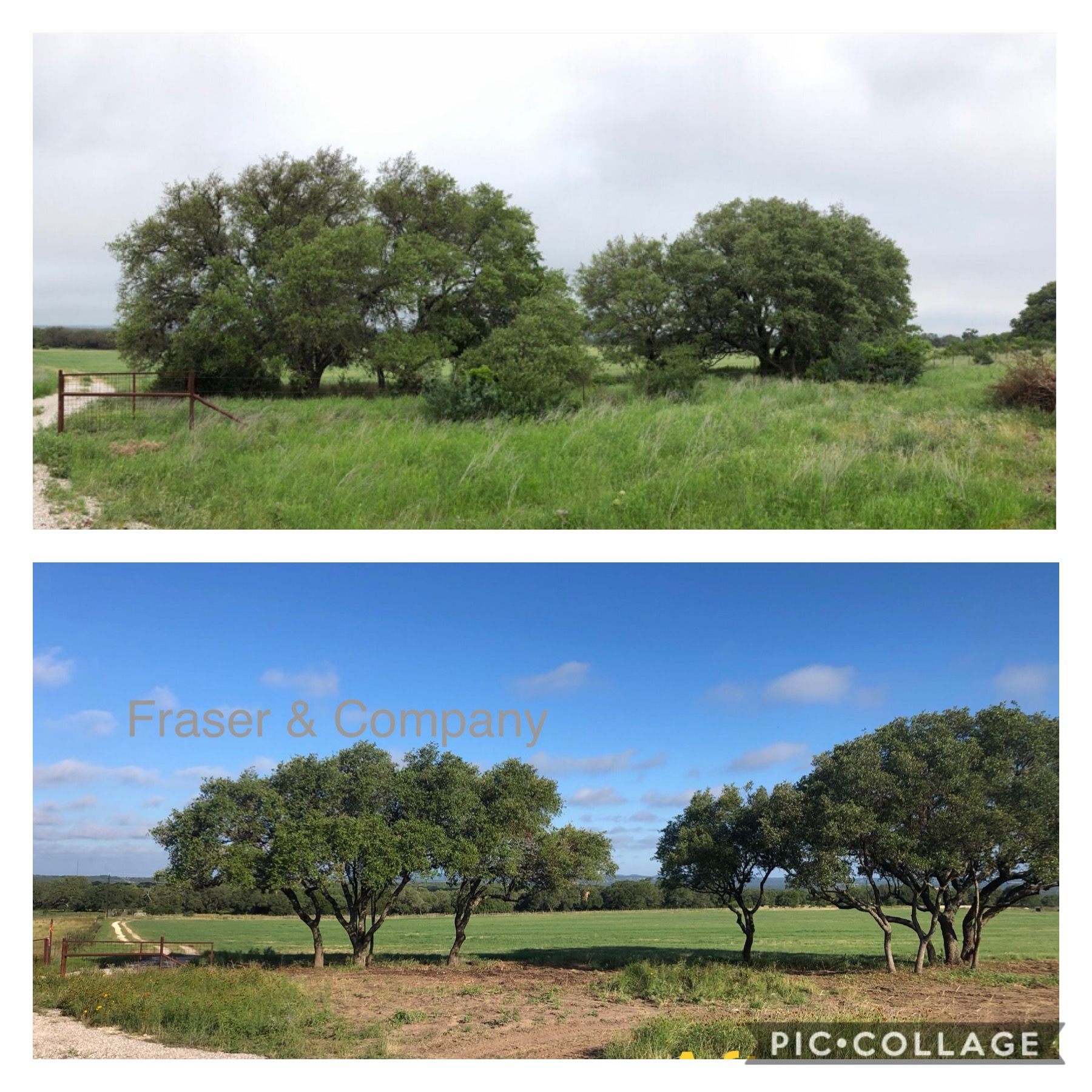 Hill Country Land Clearing