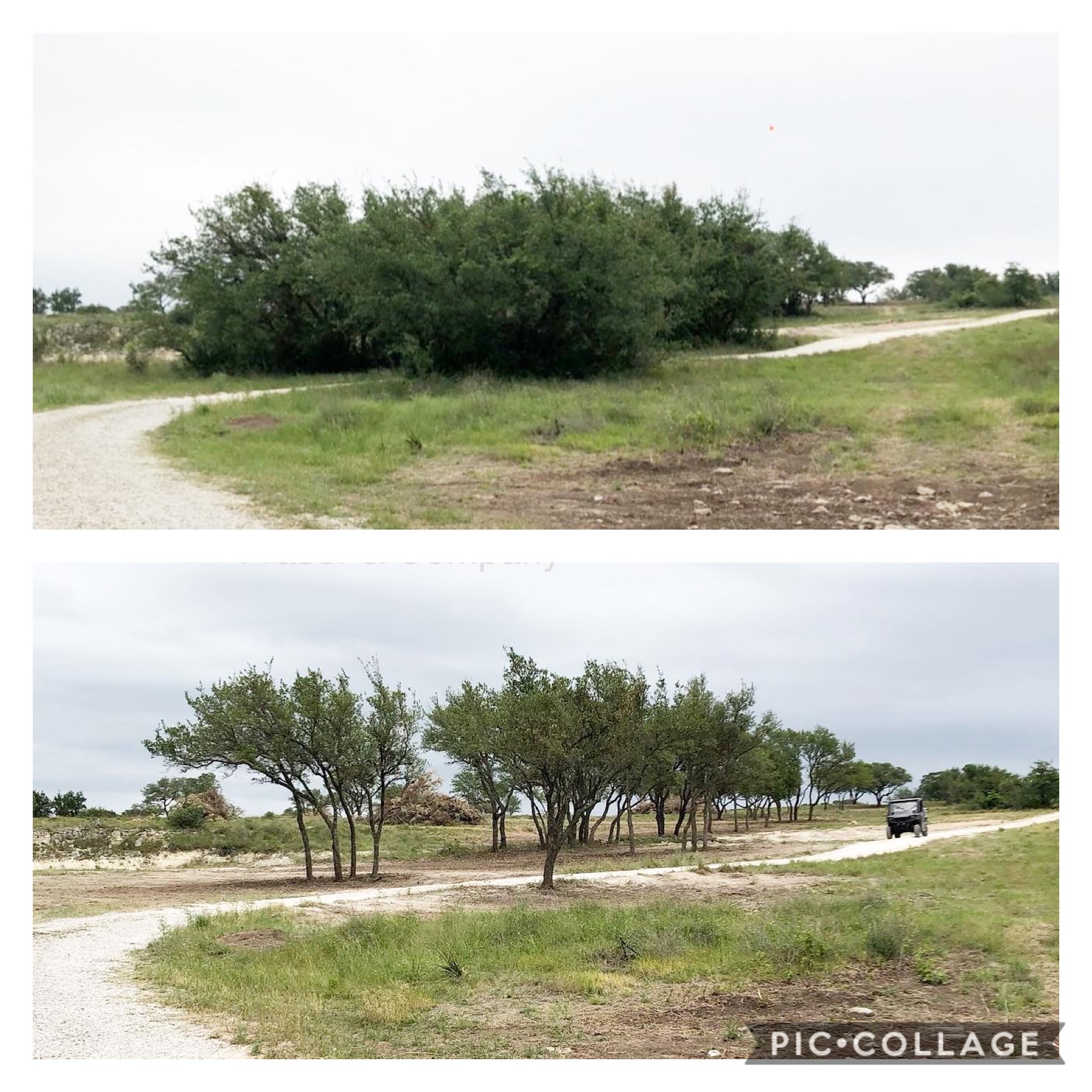 Hill Country Land Clearing