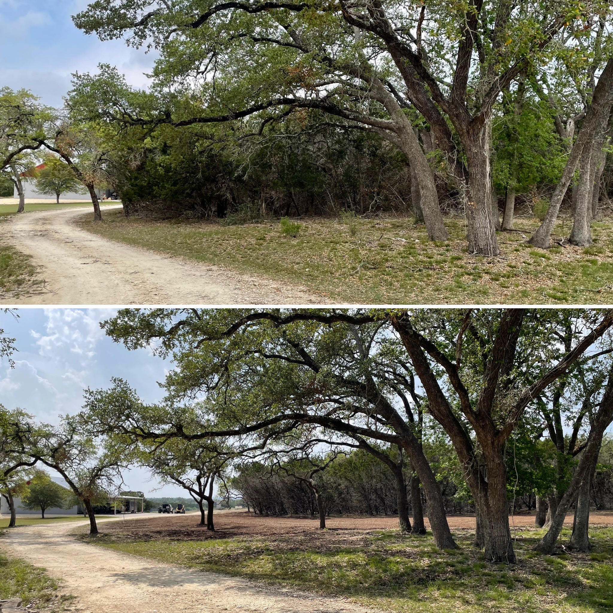 Hill Country Land Clearing