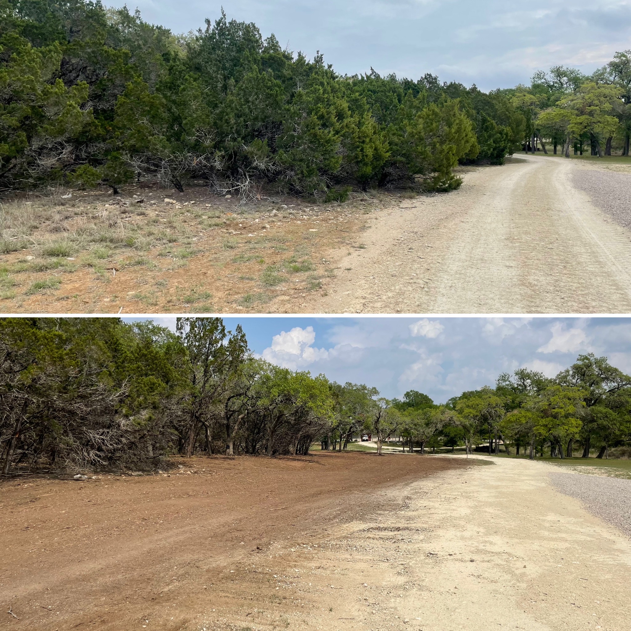 Hill Country Land Clearing