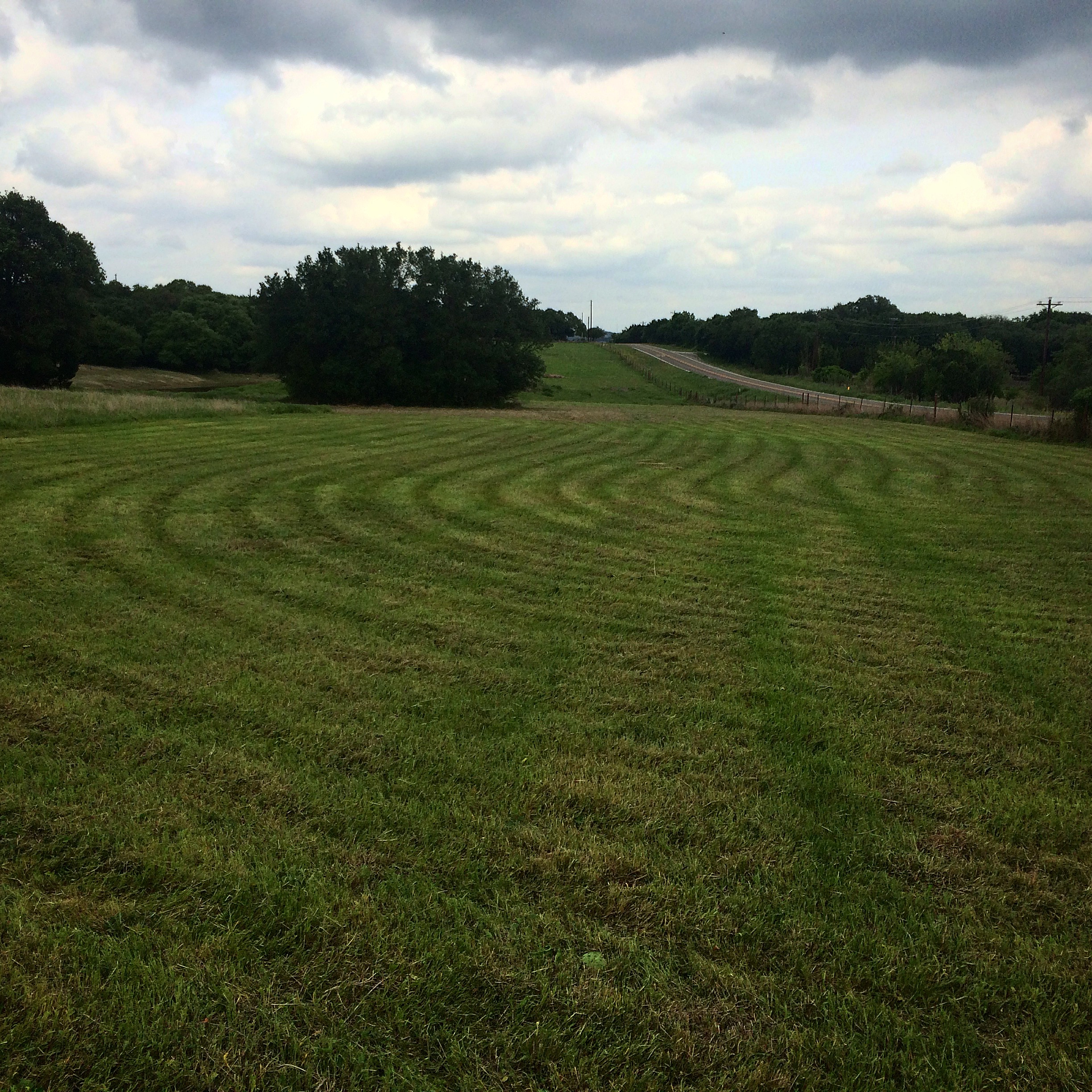 Hill Country Land Clearing