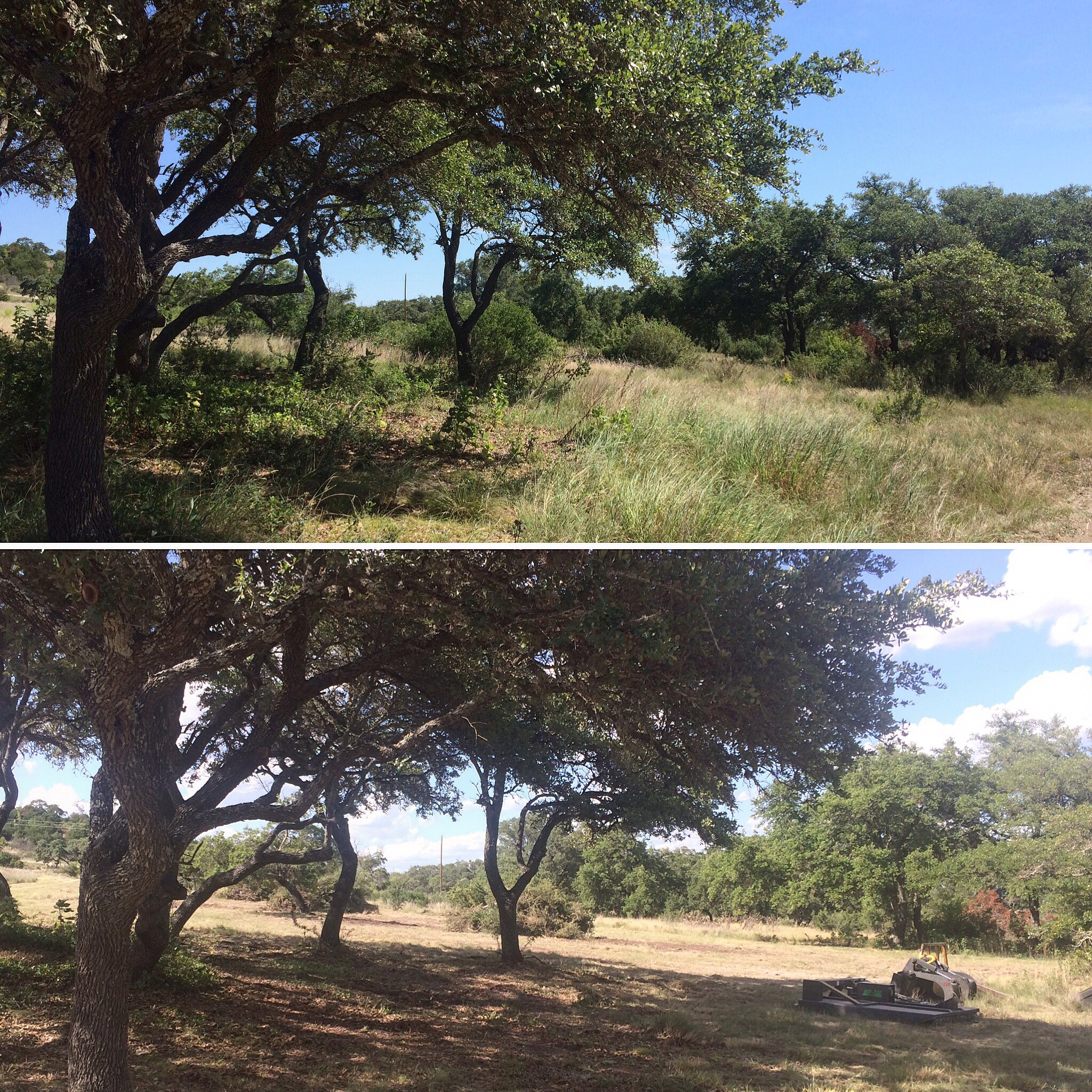 Hill Country Land Clearing