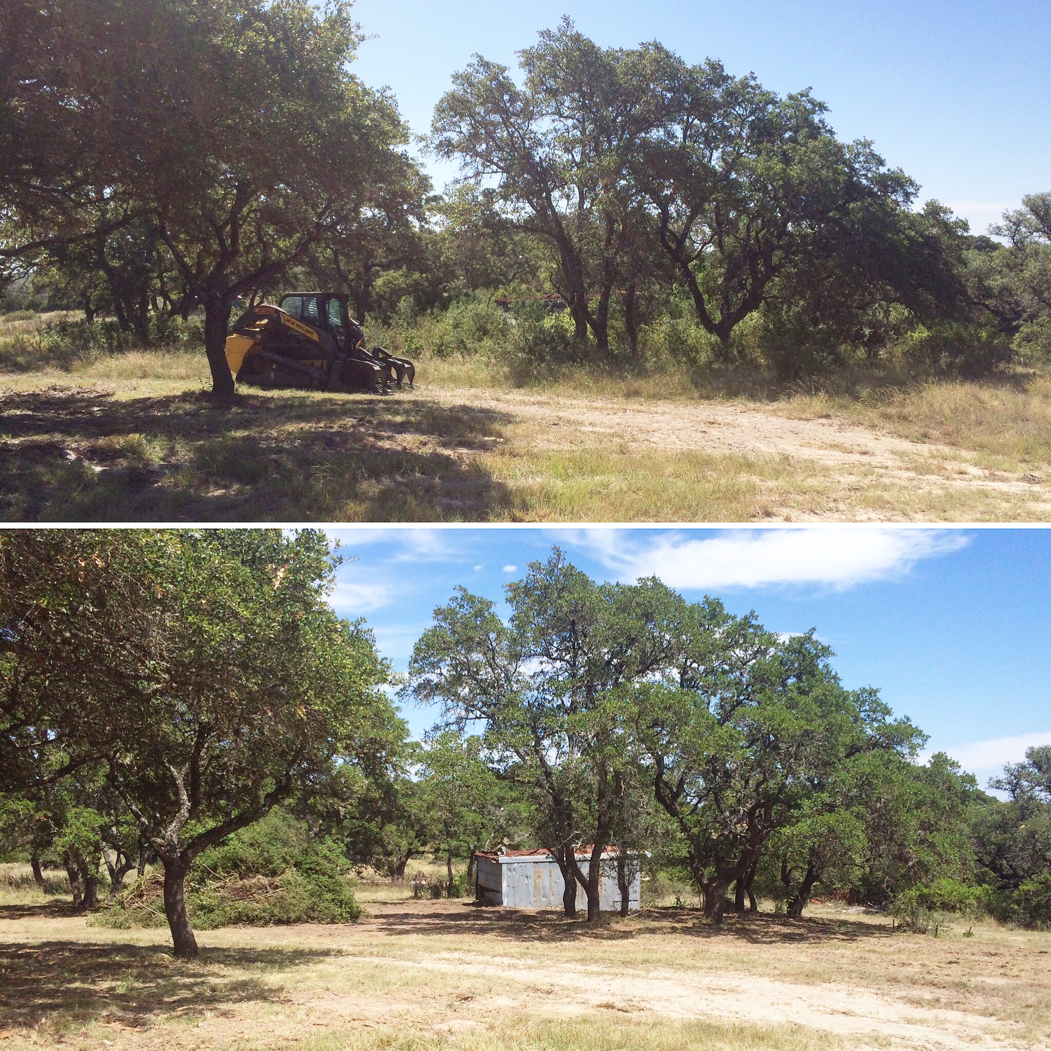 Hill Country Land Clearing