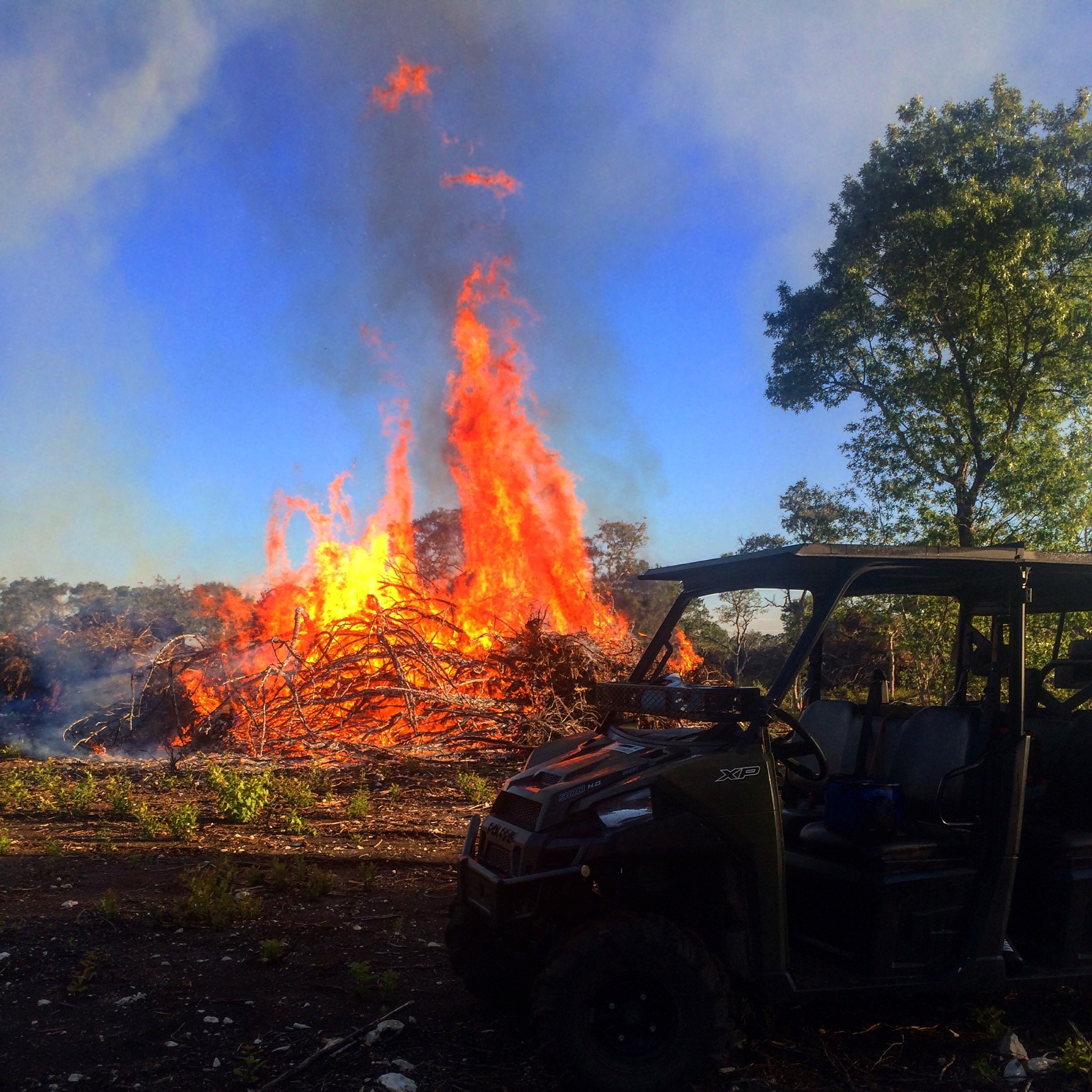 Hill Country Land Clearing