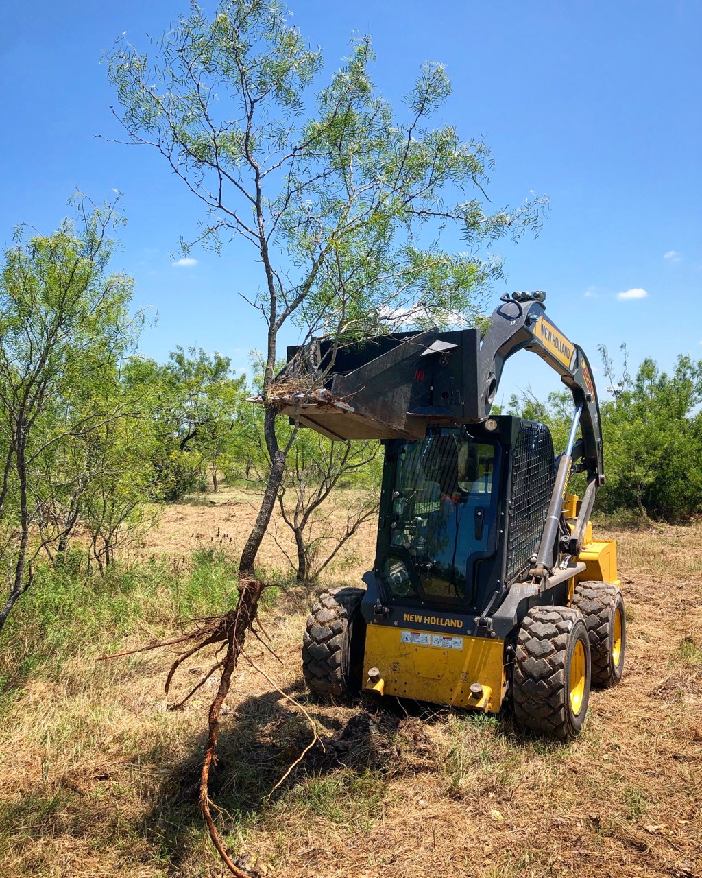 Hill Country Land Clearing