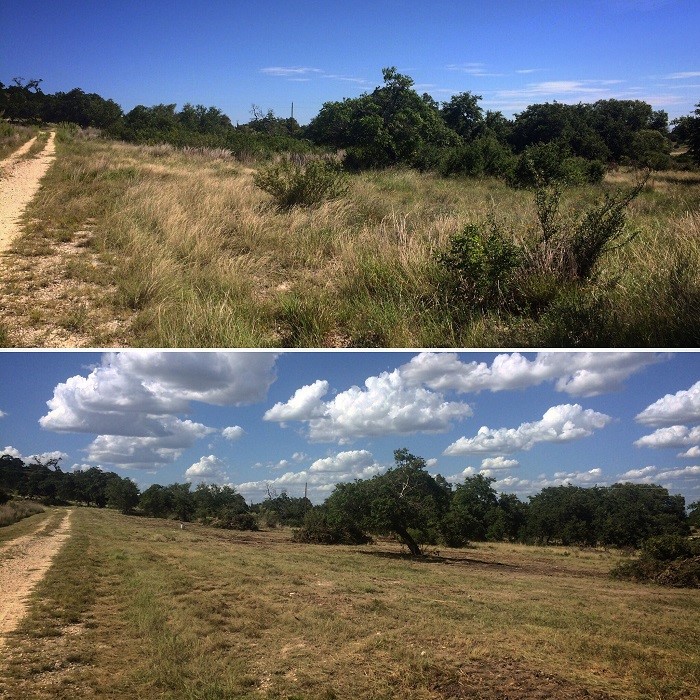 Hill Country Land Clearing