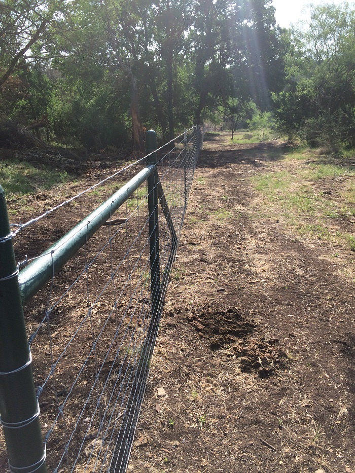 Hill Country Land Clearing