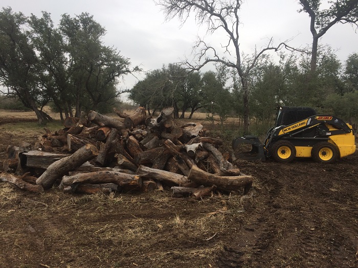 Hill Country Land Clearing