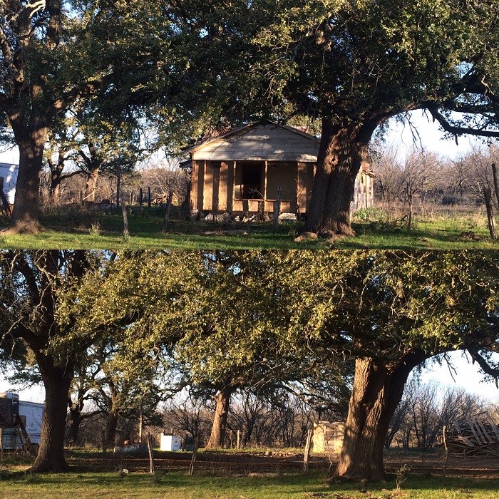 Hill Country Land Clearing