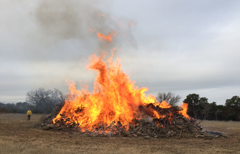 Hill Country Land Clearing