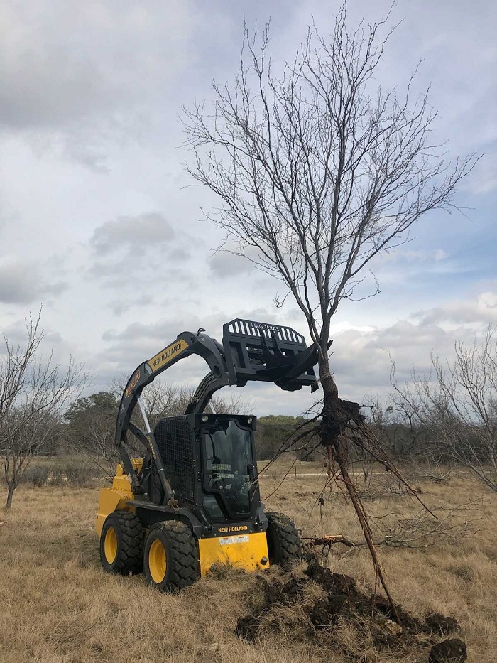 Hill Country Land Clearing