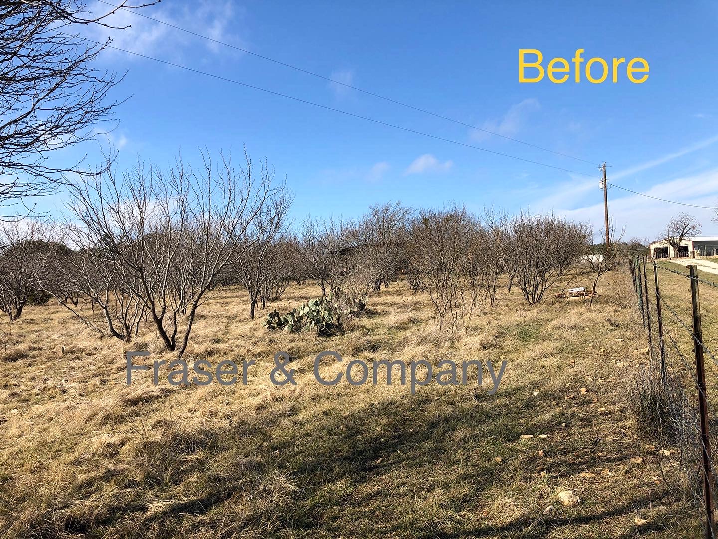 Hill Country Land Clearing